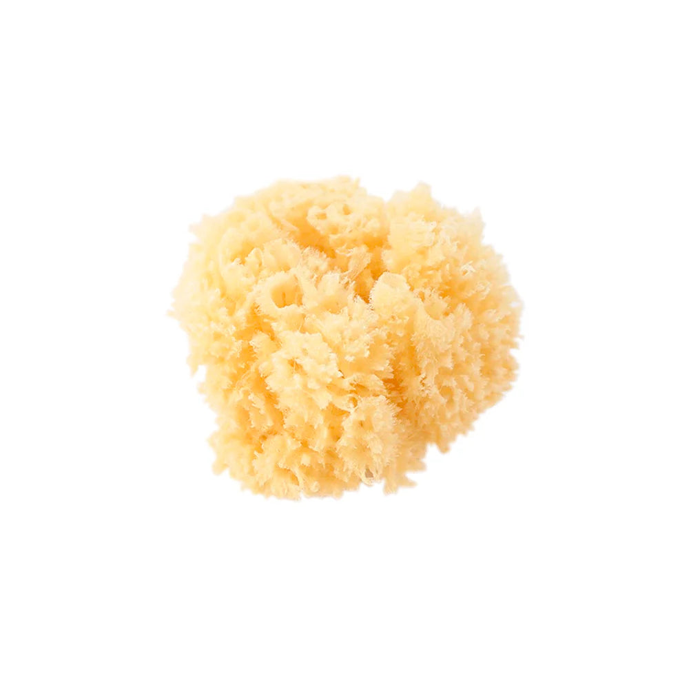 Saro Natural Sponge