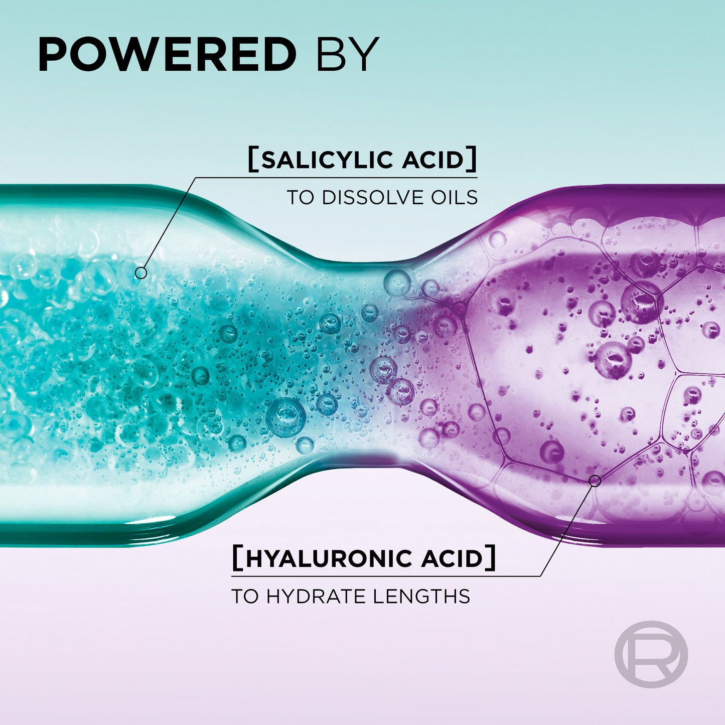L’Oréal Paris Elvive Hyaluron Pure Purifying Shampoo