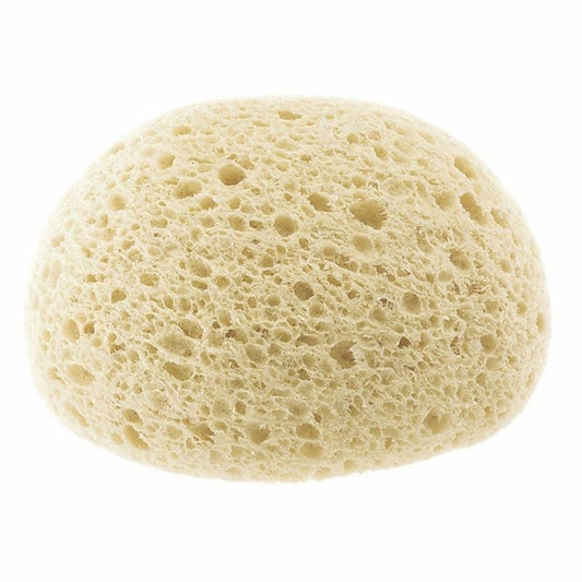 Chicco Extra-Absorbent Sponge