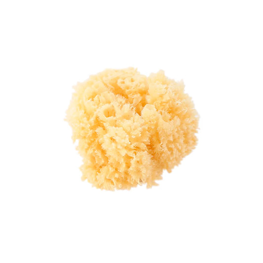 Saro Natural Sponge