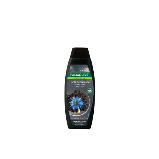 Palmolive Shampoo Health & Shine for Dry & Dull Hair with Habba Sauda Oil 380 ML